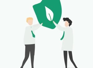 What is Salvage Value: Meaning and Formula
